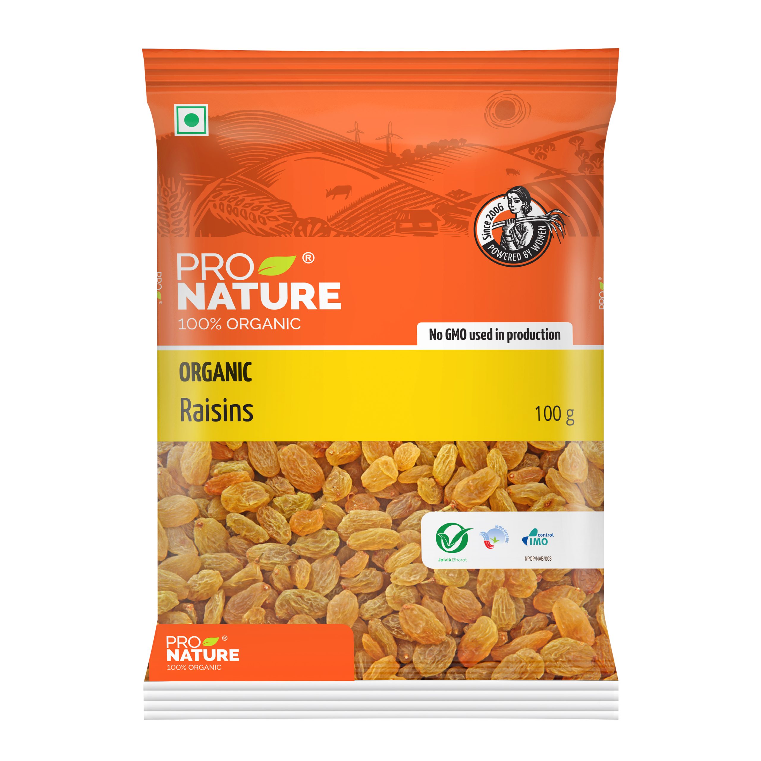 Raisins 100g